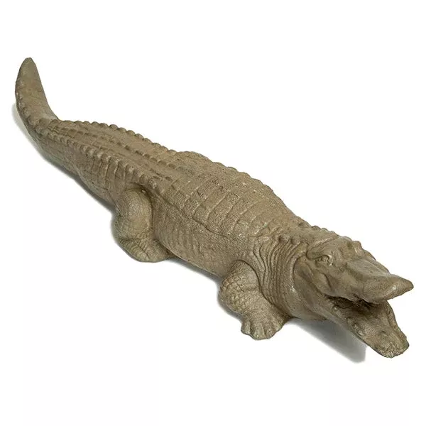 Alligator