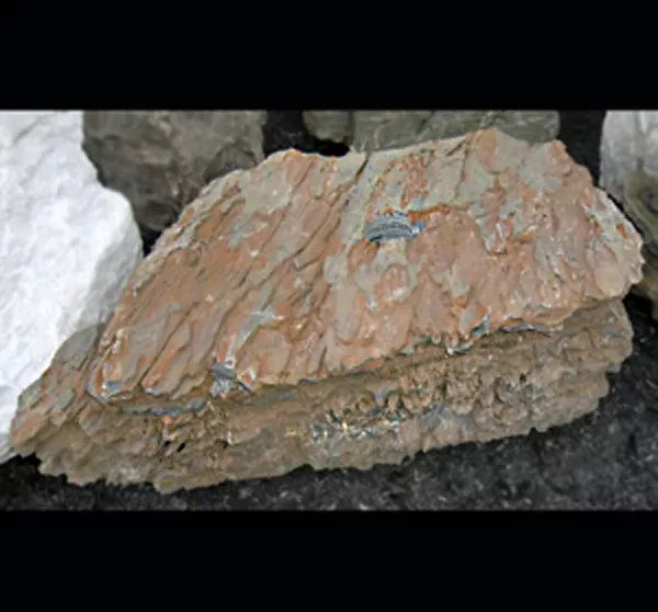 Bubble Rock 29 Metamorphic (Large)